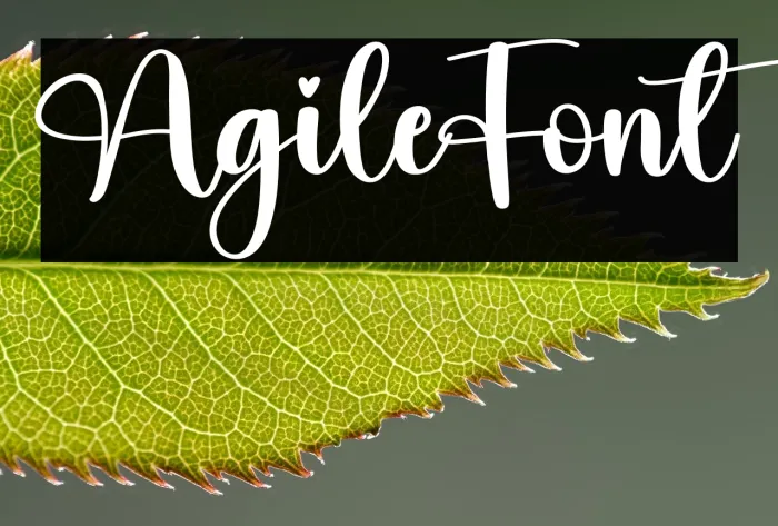 Agile Example 2