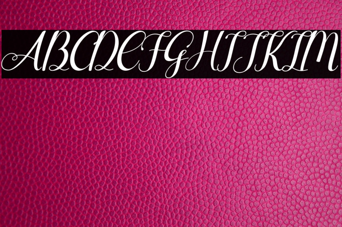 Agilia Italic Example 1