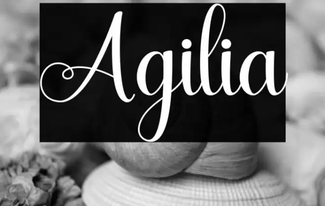Agilia Font examples