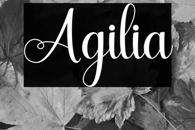 Agilia Font examples