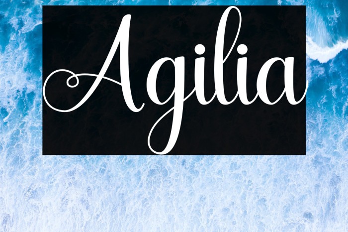 Agilia Example 3