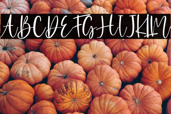 Agirly - Persnal Use Example 1