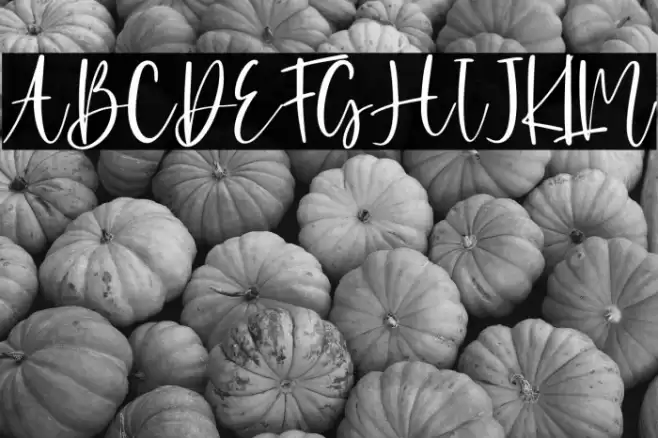 Agirly - Persnal Use Font examples