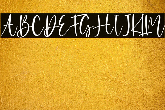 Agirly - Persnal Use Example 2