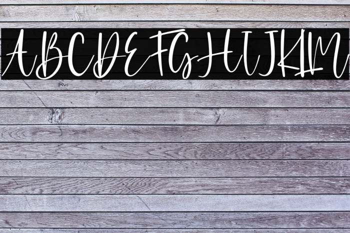 Agirly - Persnal Use Example 3