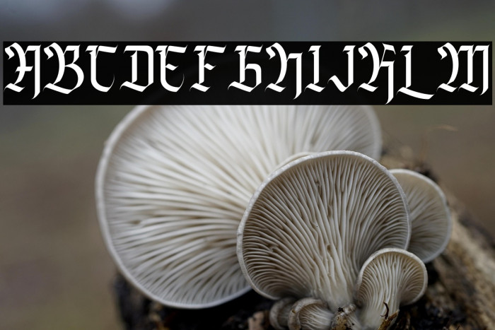 Agise rujdi Regular Example 1