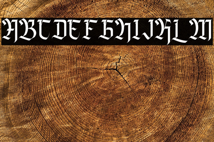 Agise rujdi Regular Example 3