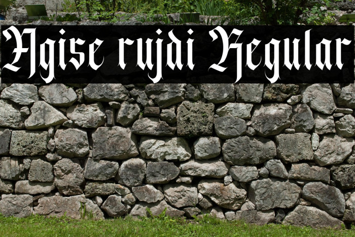 Agise rujdi Regular Example 1