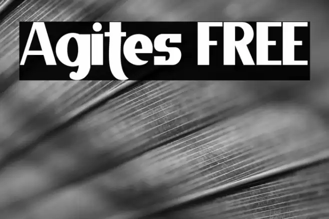 Agites FREE Font examples