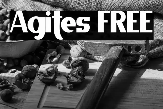 Agites FREE Font examples