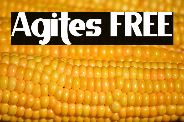 Agites FREE Example 3