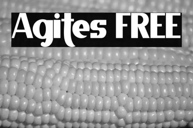 Agites FREE Font examples