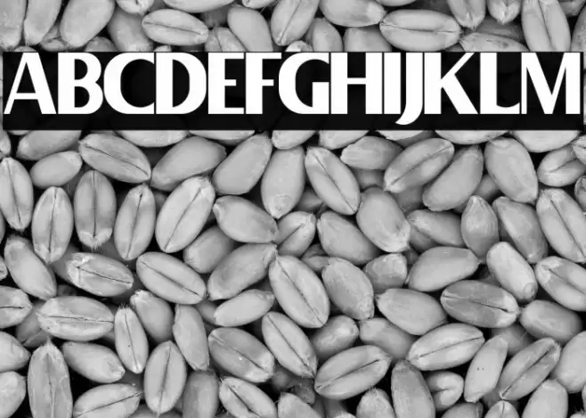 AgitesFREE Font examples