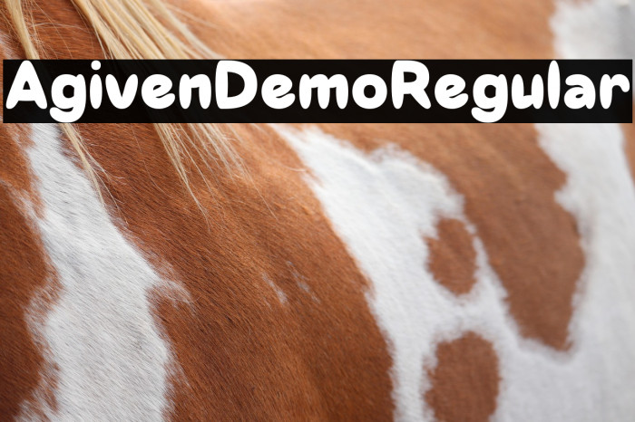 Agiven Demo Regular Example 3