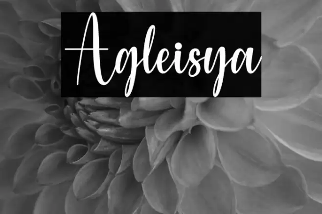 Agleisya Font examples