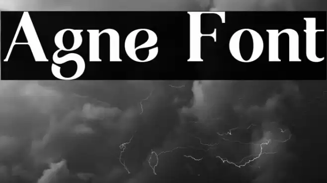 Agne Font examples