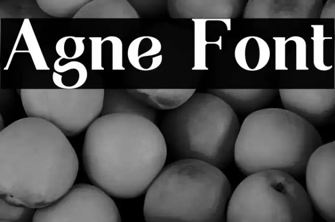 Agne Font examples