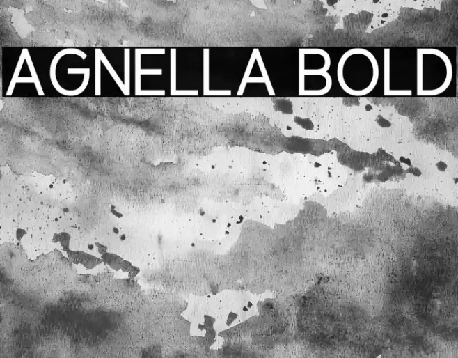Agnella Bold Font examples