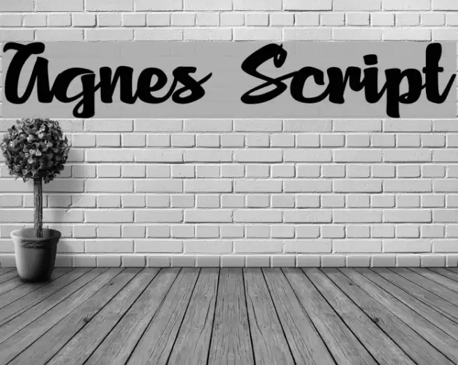 Agnes Script Font examples