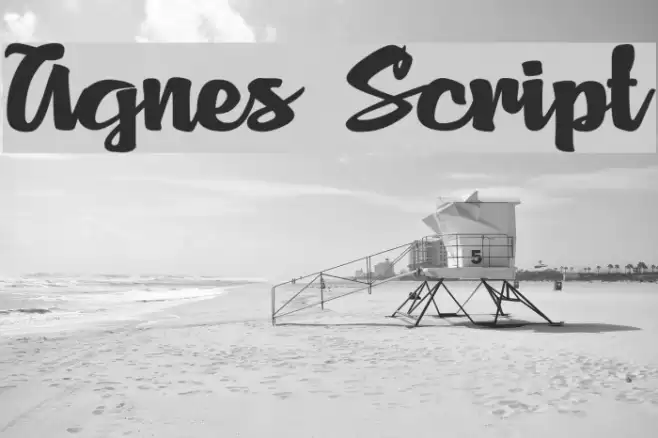 Agnes Script Font examples