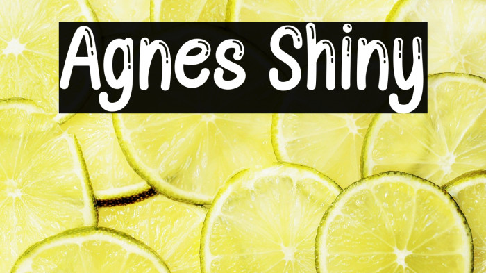 Agnes Shiny Example 1