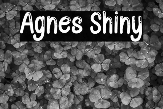 Agnes Shiny Example 2