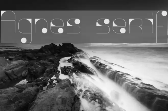 Agnes serif Font examples