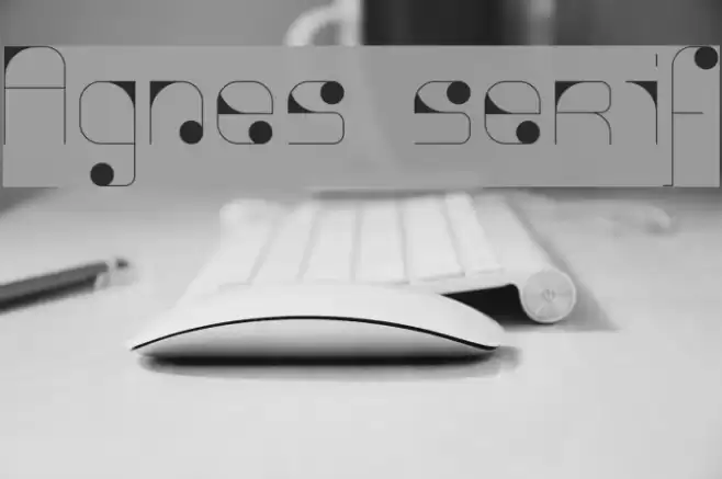 Agnes serif Font examples