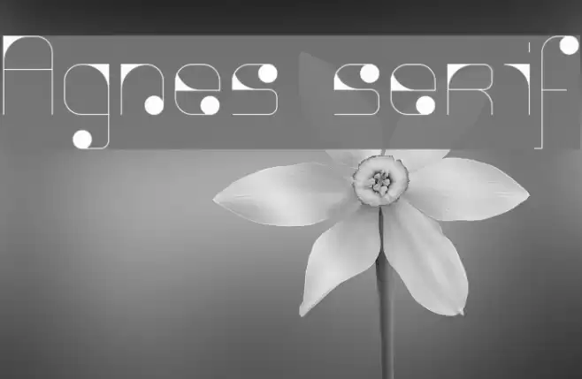 Agnes serif Font examples