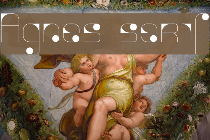 Agnes serif Font examples