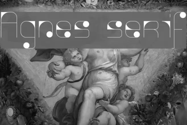 Agnes serif Font examples