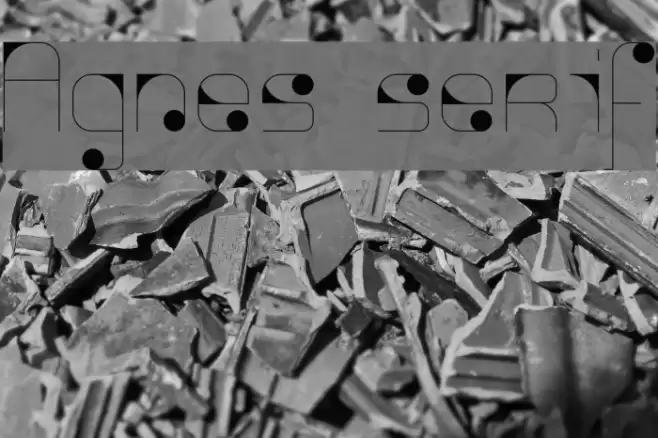 Agnes serif Font examples