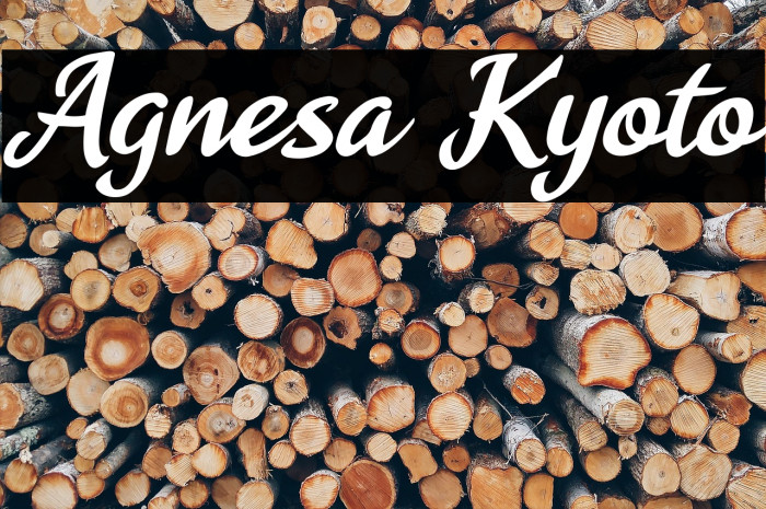 Agnesa Kyoto Font examples