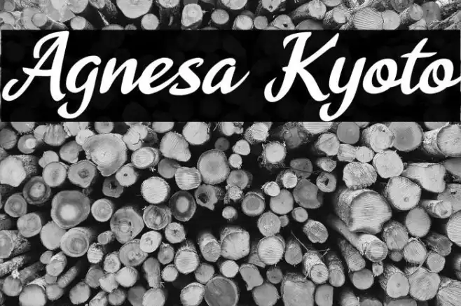 Agnesa Kyoto Example 1