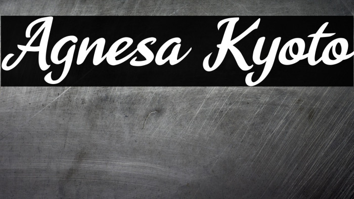 Agnesa Kyoto Font examples