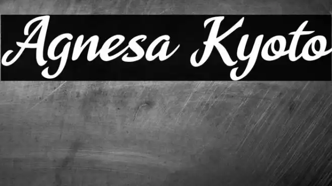 Agnesa Kyoto Example 3