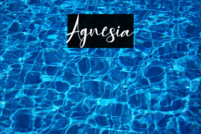 Agnesia Example 1