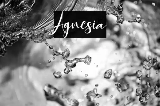 Agnesia Font examples