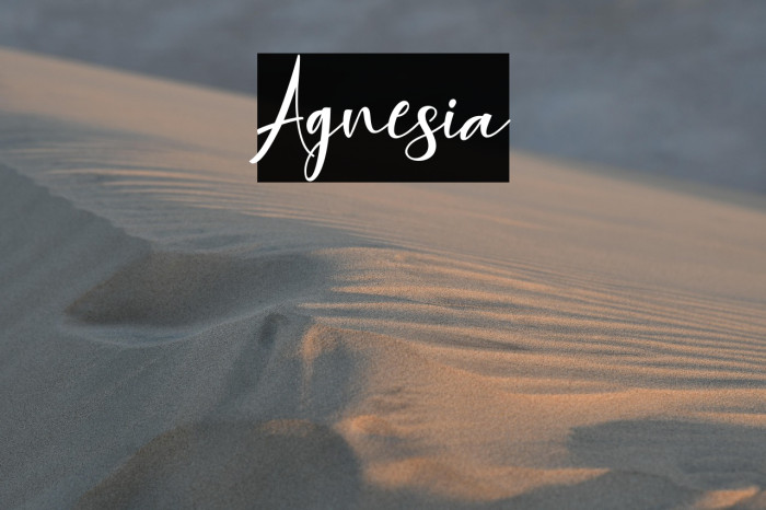 Agnesia Example 3