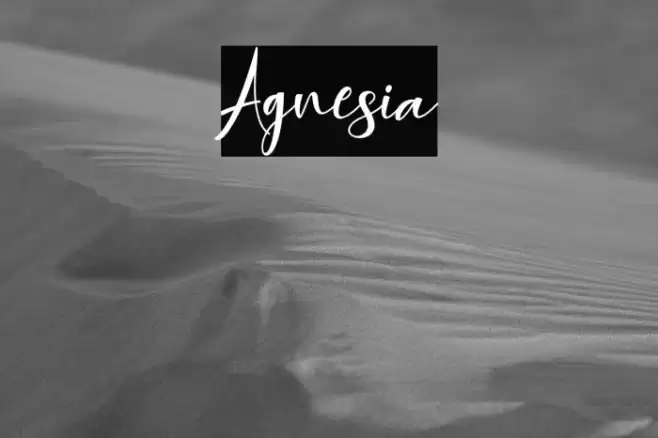 Agnesia Font examples