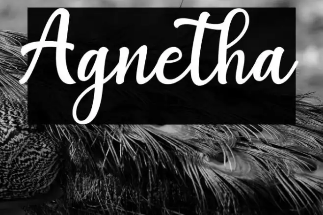 Agnetha Example 1