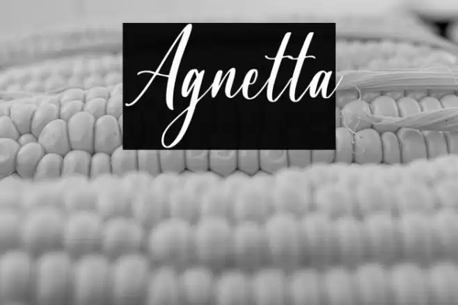 Agnetta Font examples