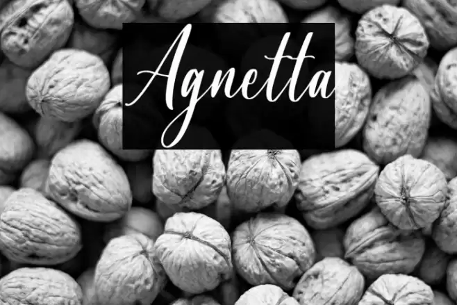 Agnetta Font examples