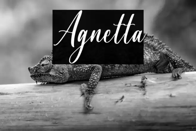 Agnetta Font examples