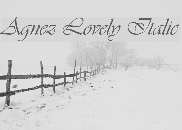 Agnez Lovely Italic Font examples
