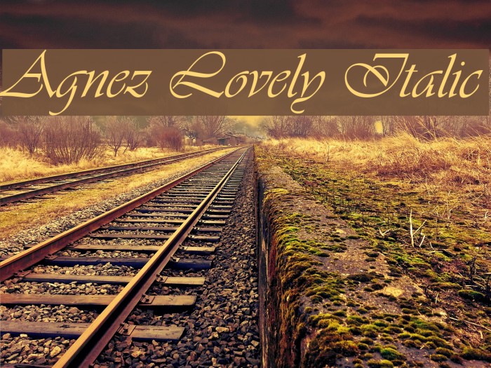 Agnez Lovely Italic Font examples