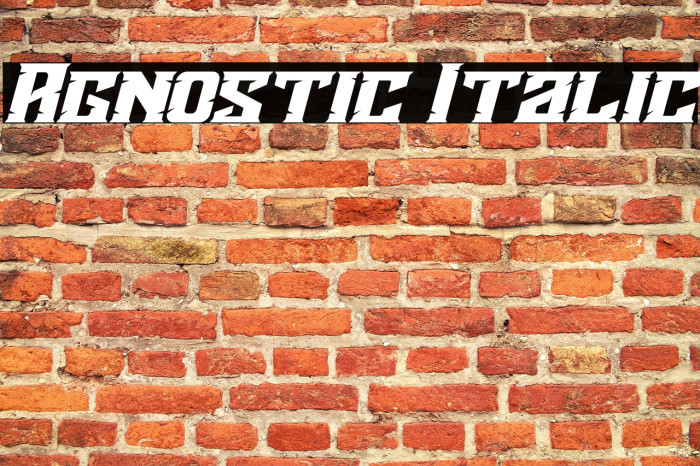 Agnostic Italic Example 3