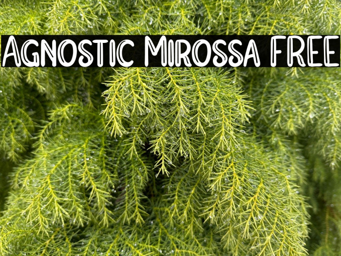 Agnostic Mirossa FREE Example 3