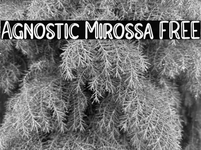 Agnostic Mirossa FREE Font examples