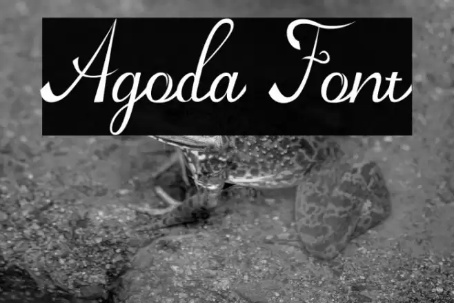 Agoda Шрифта examples